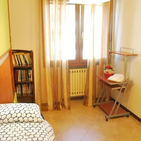 Salix * بادوفا